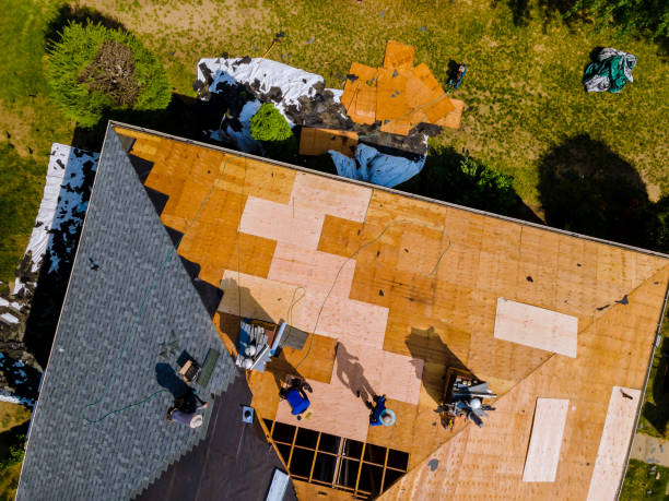 Quick and Trustworthy Emergency Roof Repair Services in Holt, AL